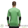 bluza-bramkarska-adidas-assita-17-gk-az5400.jpg