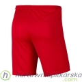 pol_pl_Dzieciece-Spodenki-Pilkarskie-Nike-Dry-Park-III-BV6865-657-4161_2.jpg