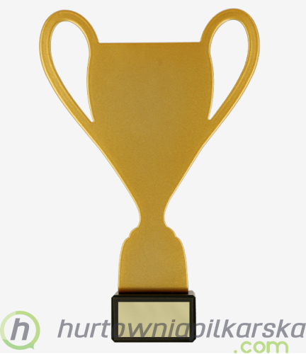 Przechwytywanie.PNG