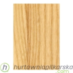 Trofeum drewniane WT003-230