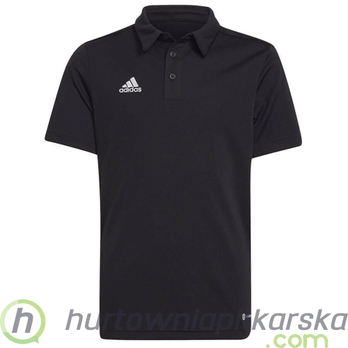 pol_pl_Koszulka-adidas-Polo-ENTRADA-22-Y-H57481-145955_1.jpg