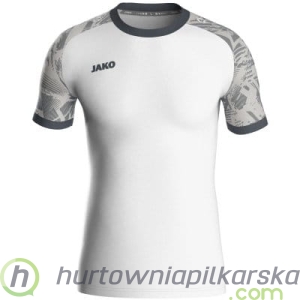 koszulka ICONIC kr. rękaw model: 4224_016