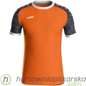 koszulka ICONIC kr. rękaw model: 4224_351