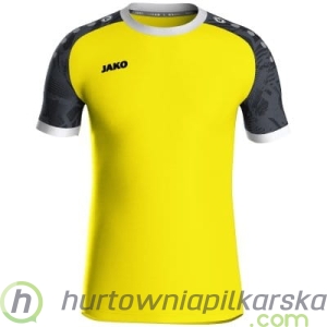 koszulka ICONIC kr. rękaw model: 4224_326