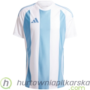 Koszulka sportowa adidas STRIPED 24 JSY biało-błękitna IW4555