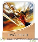 Prostokątne szklane trofeum SIATKÓWKA KOBIET