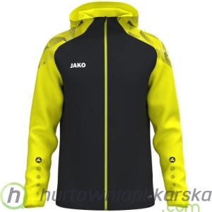 bluza SONIC z kapturem model: 6826_819