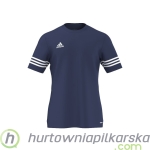 Adidas Entrada 14 F50487