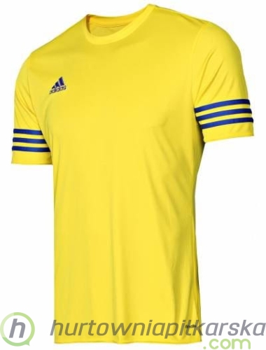 f0db858a02e3b1a505ff8a4567bb49418459c238